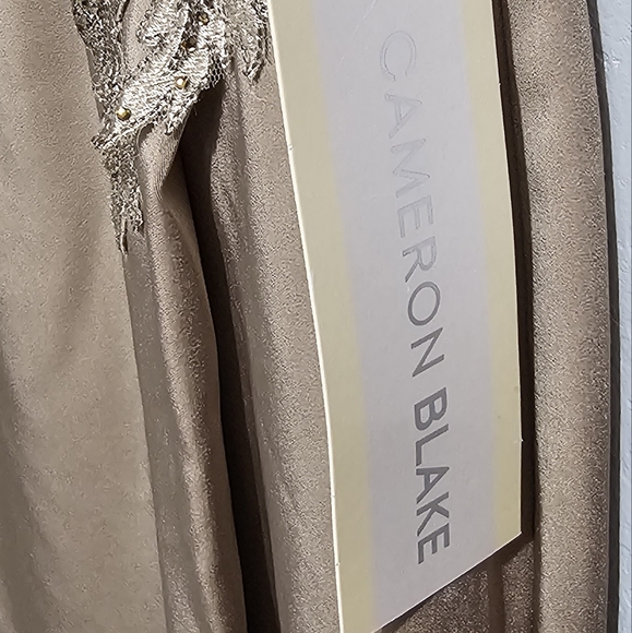 Cameron Blake Lace Appliqued V-Neck Sheath Dress 10 Champagne - Picture 6 of 14